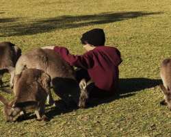 He has a soft corner in his heart for animals especially Kangaroos.